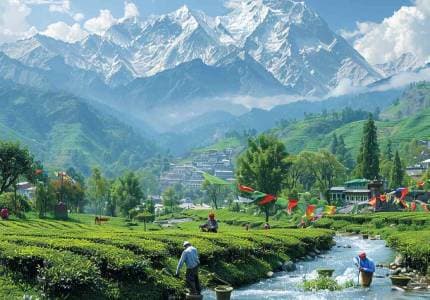 Chandigarh to Palampur